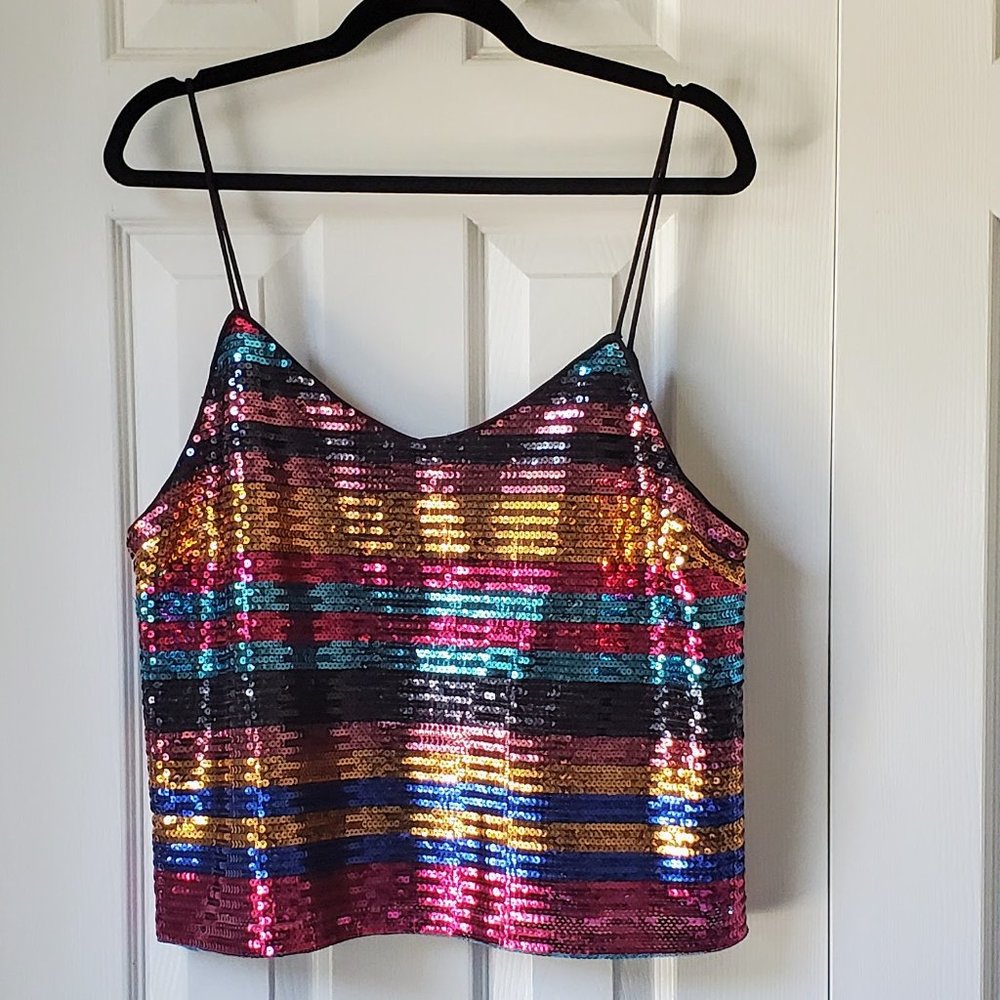 Wayf Murphy Stripe Sequin Cami NWT